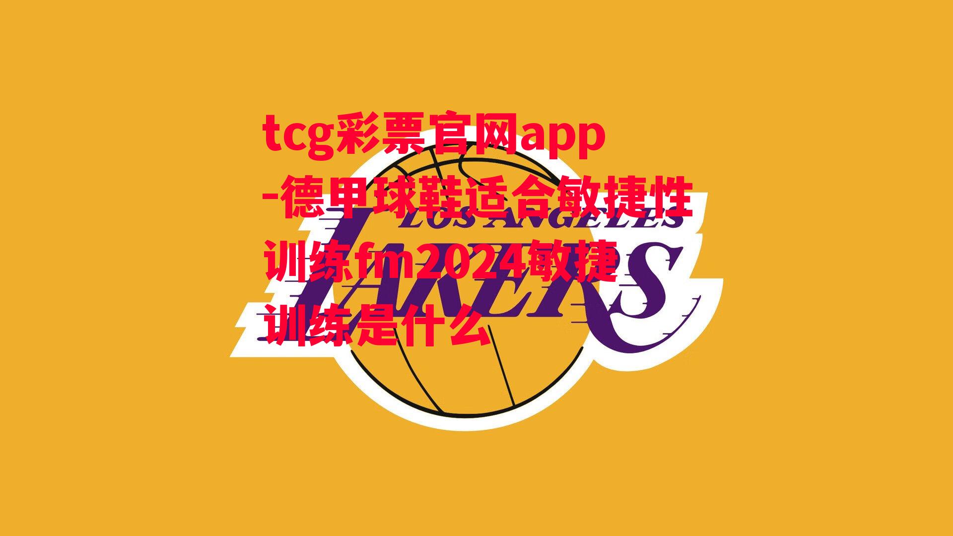 tcg彩票官网app-德甲球鞋适合敏捷性训练fm2024敏捷训练是什么